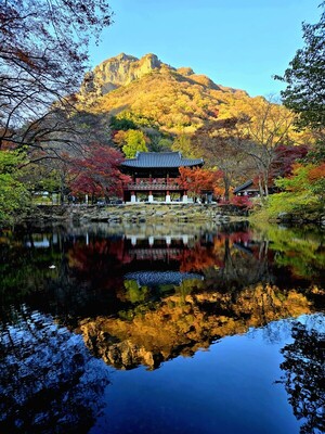 시(詩)가 내게로 다가왔다 [김동선 작가]